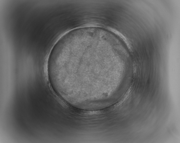 X0000102521423200809051434