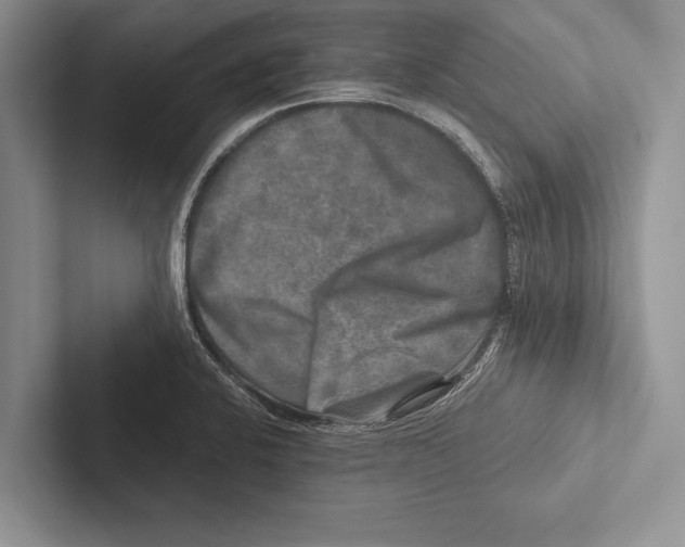 X0000102521424200809051434