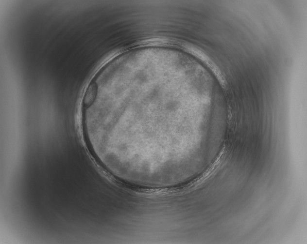 X0000102521426200809051434