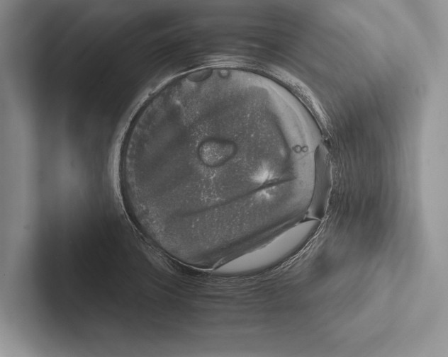 X0000102521427200809051434