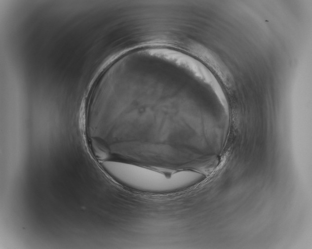 X0000102521428200809051434