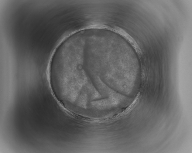 X0000102521430200809051434