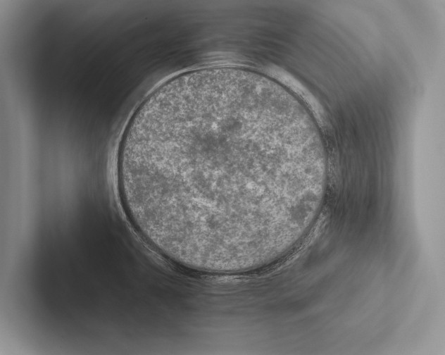 X0000102521431200809051434