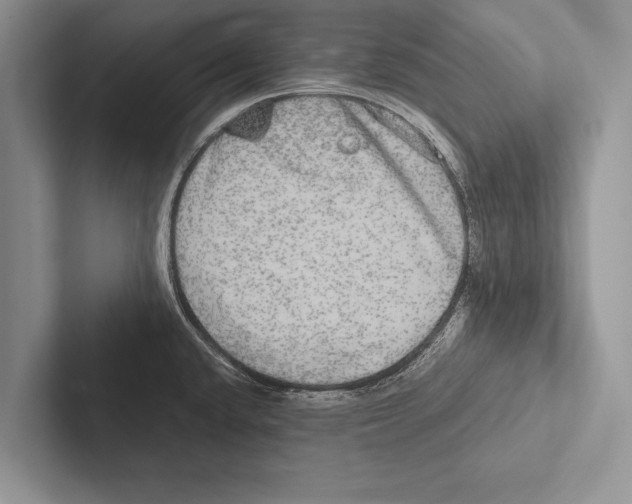 X0000102521432200809051434