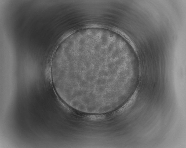 X0000102521433200809051434