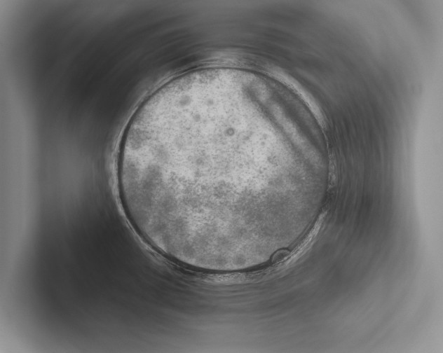 X0000102521434200809051434