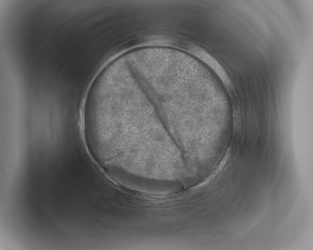 X0000102521436200809051434