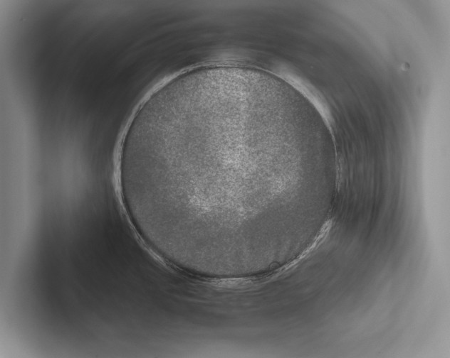 X0000102521437200809051434