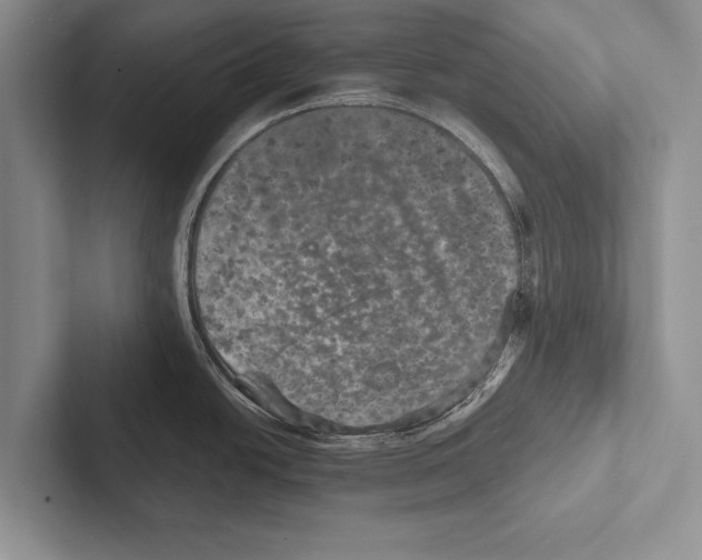 X0000102521438200809051434