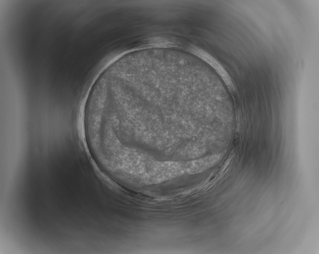 X0000102521439200809051434