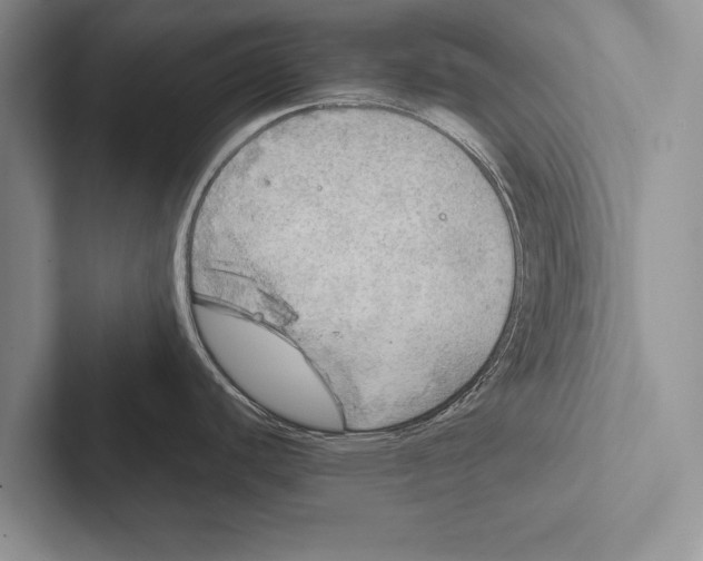 X0000102521440200809051434