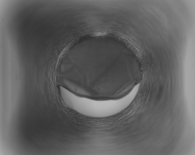 X0000102521441200809051433