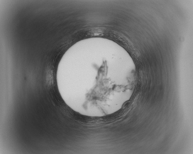 X0000102521442200809051433