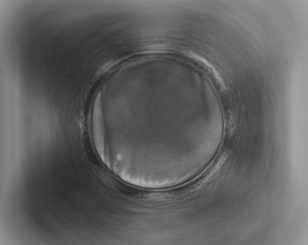 X0000102521449200809051433