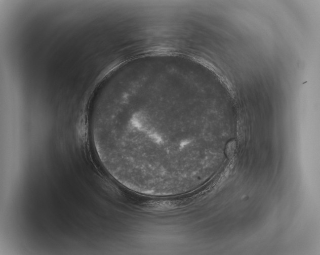 X0000102521450200809051433