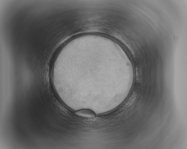 X0000102521452200809051433