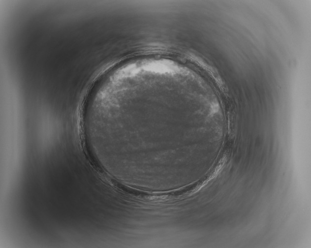 X0000102521453200809051433