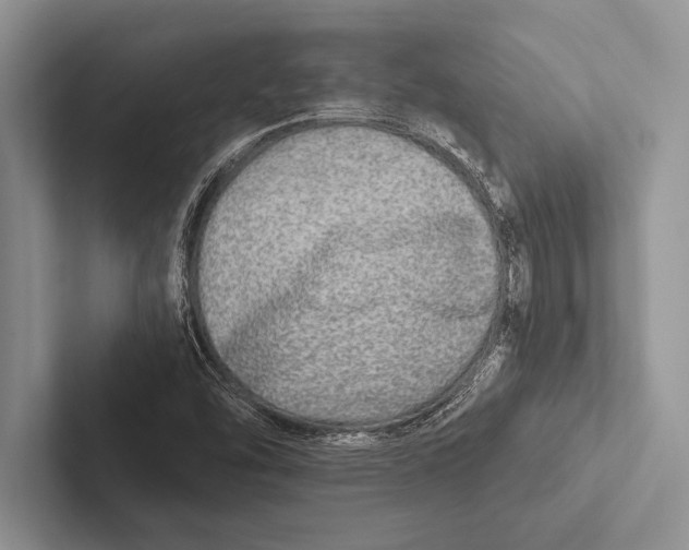 X0000102521454200809051433