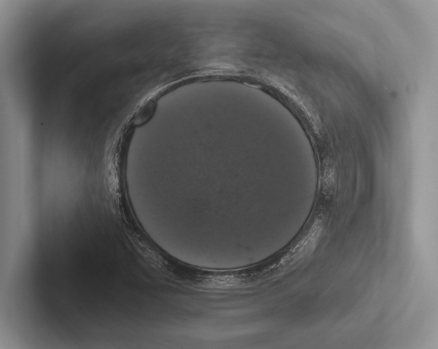 X0000102521455200809051433