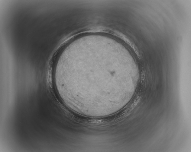 X0000102521456200809051433