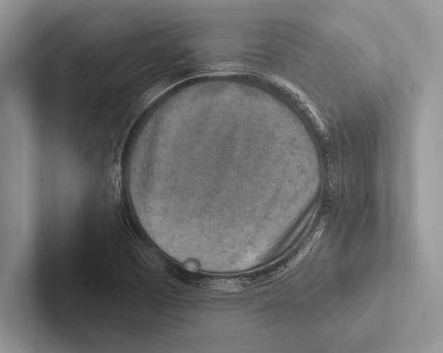 X0000102521457200809051433