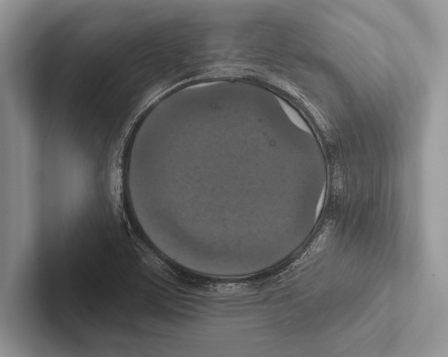 X0000102521459200809051433