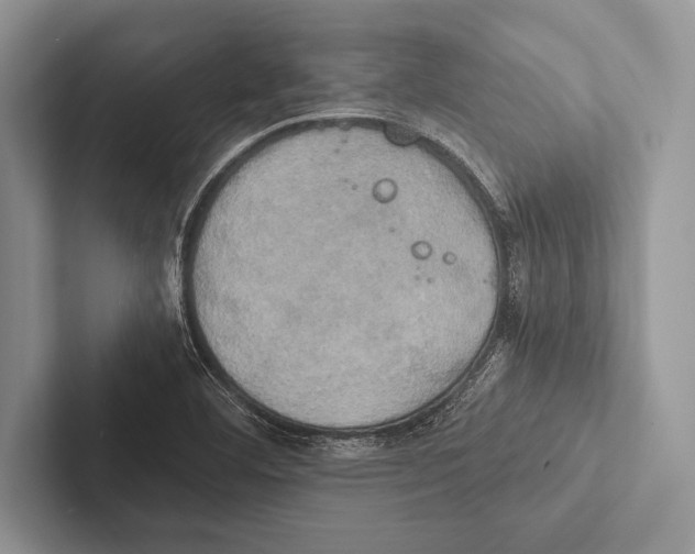 X0000102521460200809051433