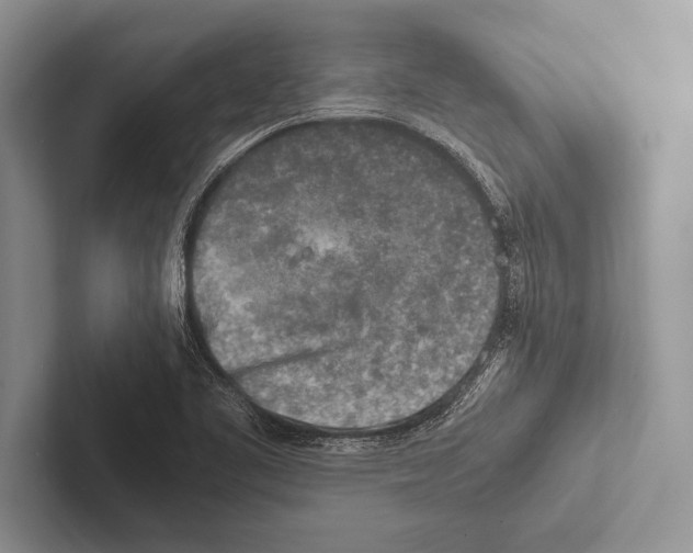 X0000102521461200809051433