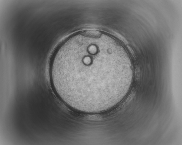 X0000102521464200809051433