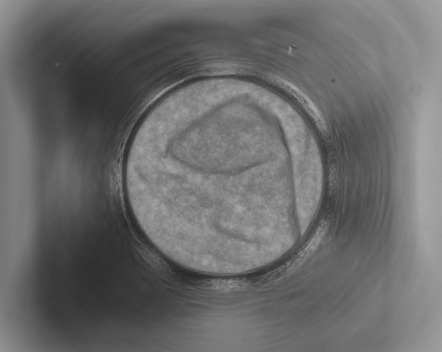 X0000102521465200809051433