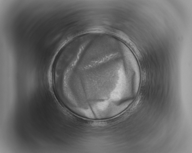 X0000102521466200809051433