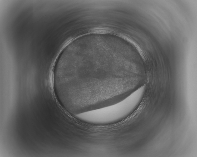 X0000102521467200809051433