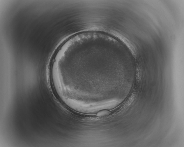 X0000102521468200809051433