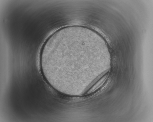 X0000102521469200809051433