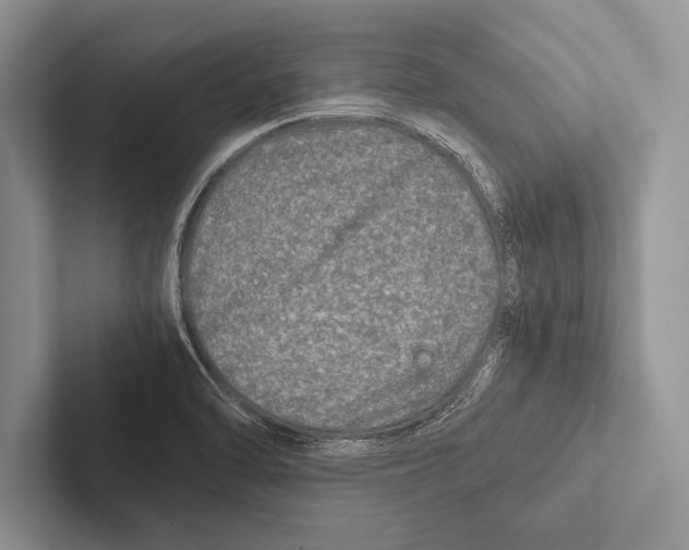 X0000102521470200809051433