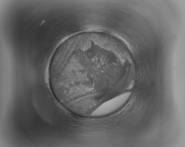 X0000102521471200809051433