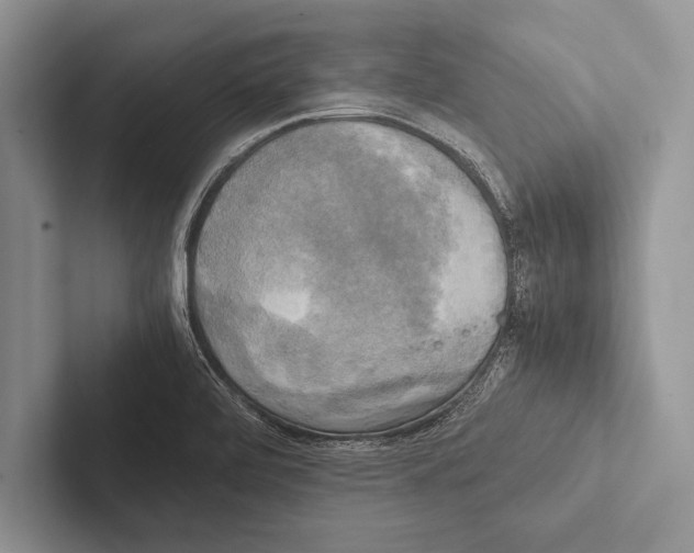 X0000102521472200809051433