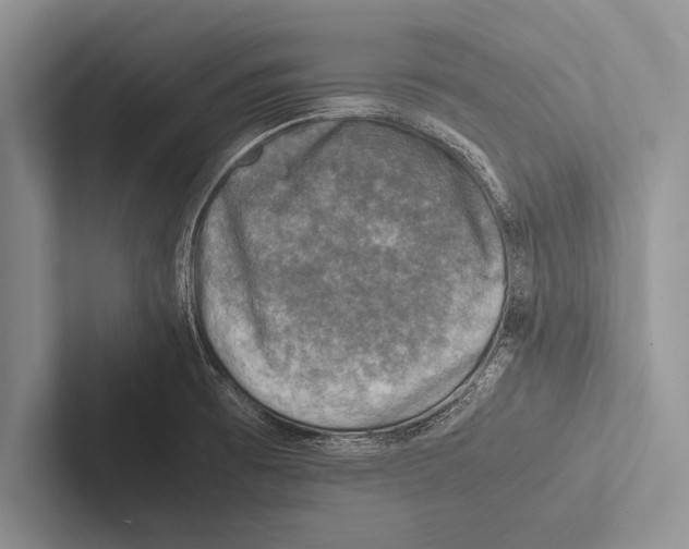 X0000102521473200809051433