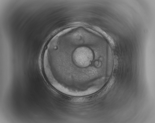 X0000102521474200809051433