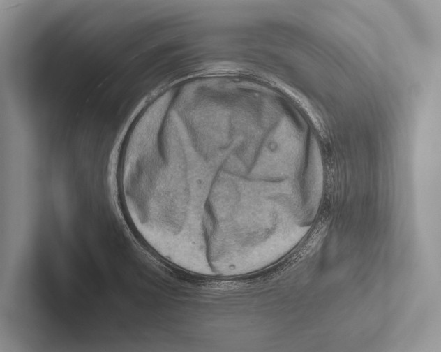 X0000102521475200809051433