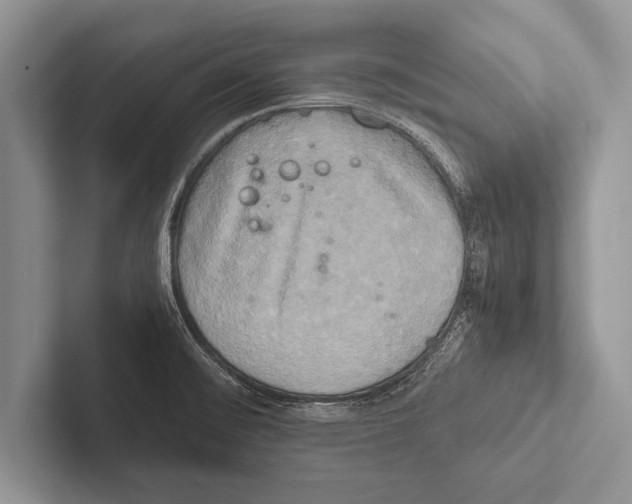 X0000102521476200809051433