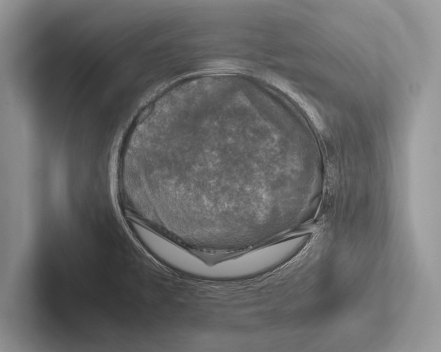 X0000102521477200809051433