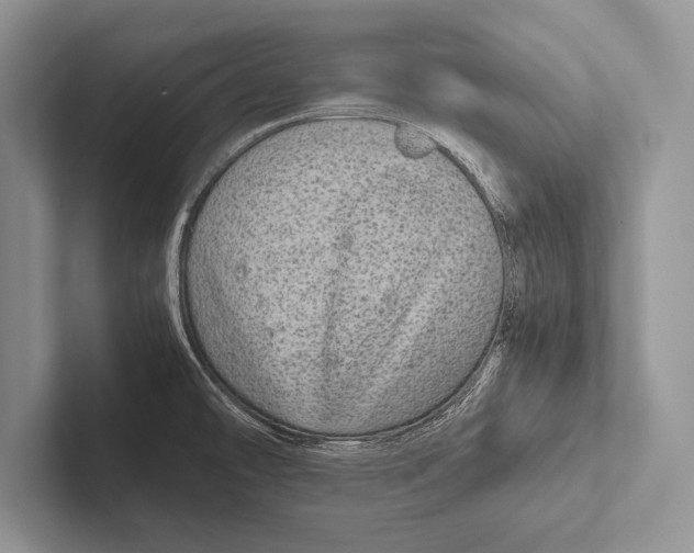 X0000102521478200809051433