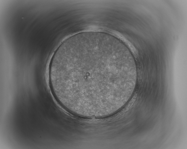 X0000102521479200809051433