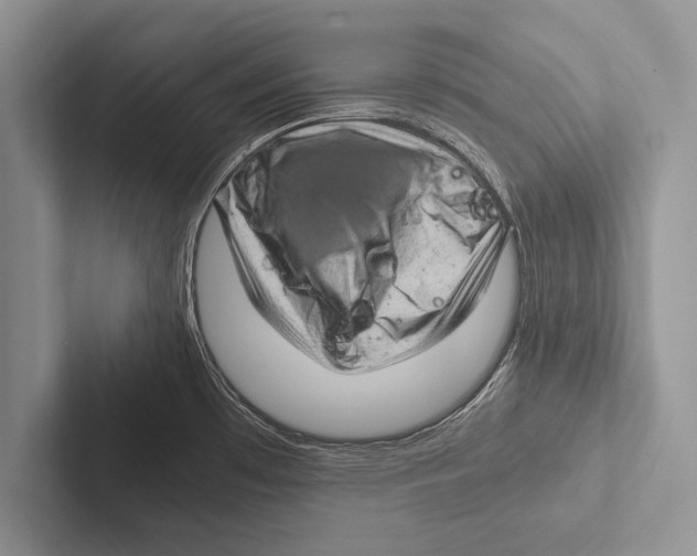 X0000102521481200809051432