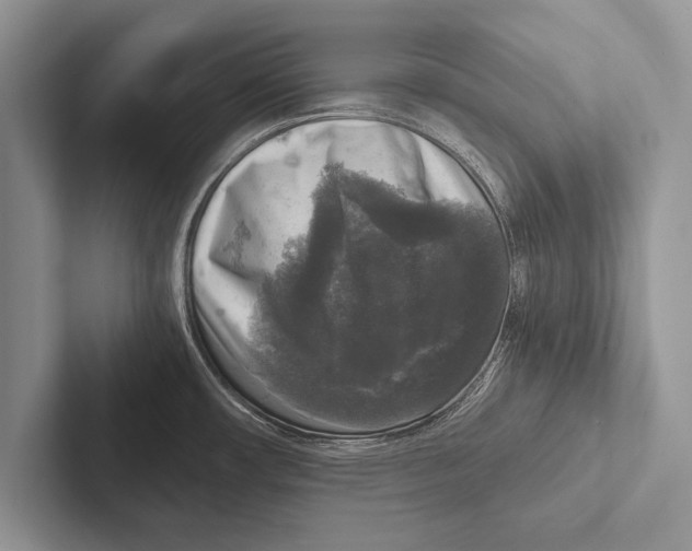 X0000102521482200809051432