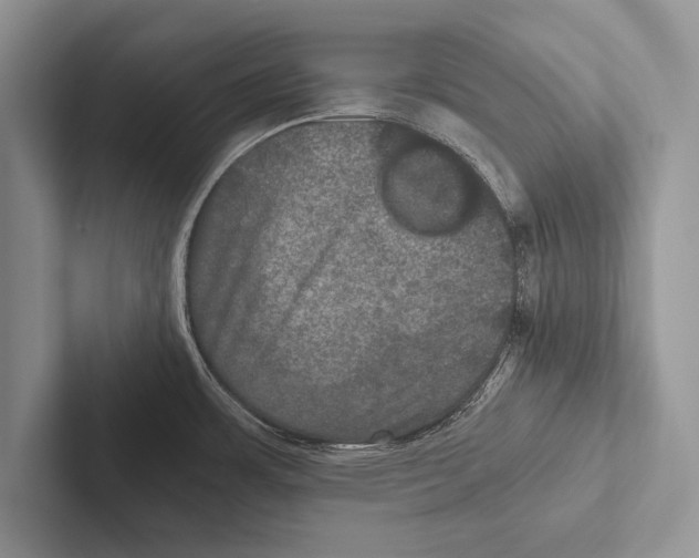 X0000102521483200809051432