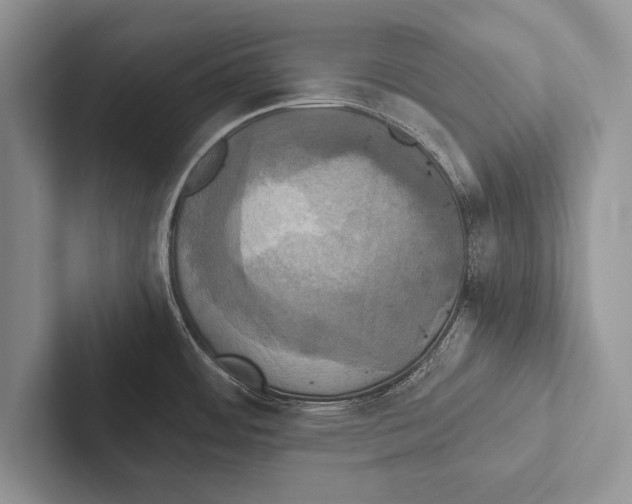 X0000102521484200809051432