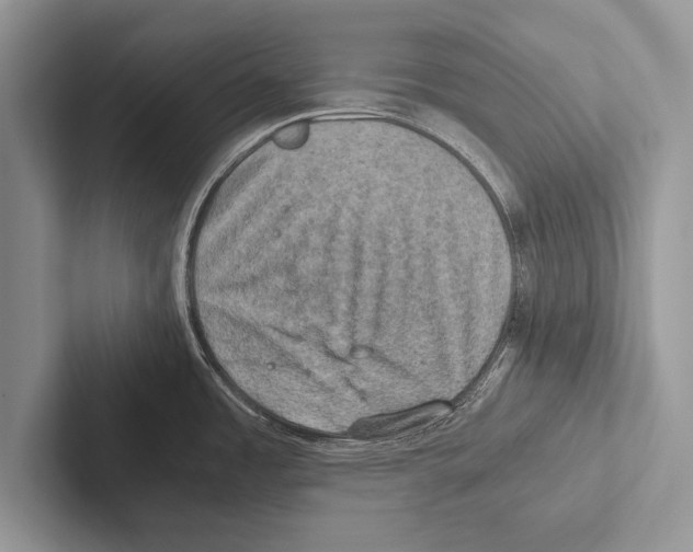 X0000102521485200809051432