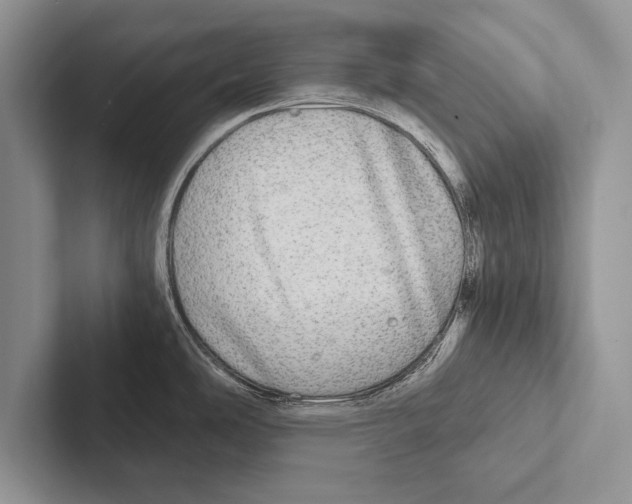 X0000102521486200809051432